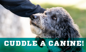 Cuddle a Canine! October 15 - 11AM to 1PM outside Zimmerman Library